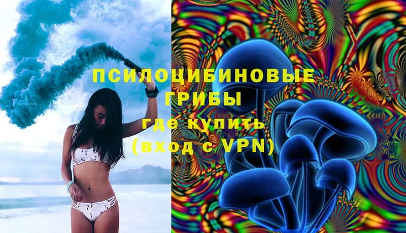 hydra как войти  Кущёвская  Галлюциногенные грибы Psilocybe 